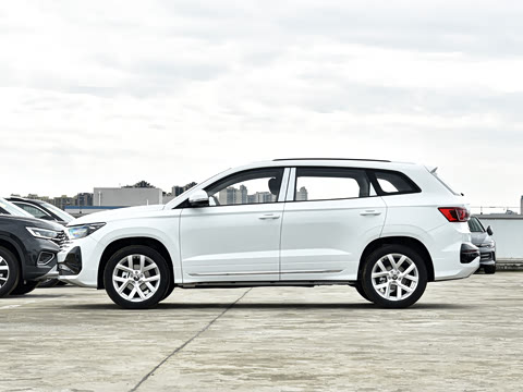 2026�� 280TSI �Զ��ȷ��