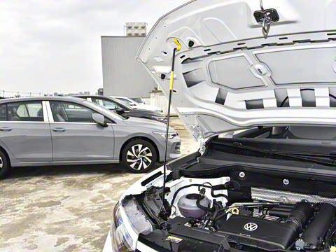 2026�� 280TSI �Զ��ȷ��