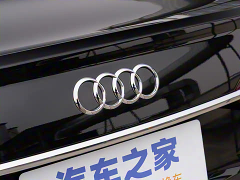 2026�� 55 TFSI quattro ����������