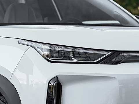 2026�� 650 ���װ�