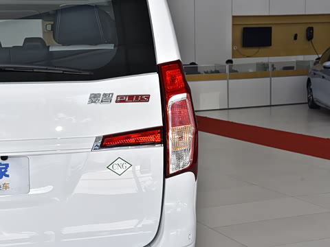 2025�� 2.0L �ֶ�������CNG 7��