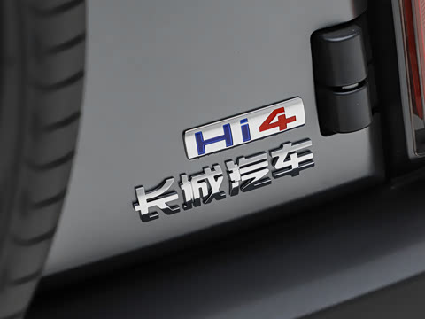 2026�� 255km ������