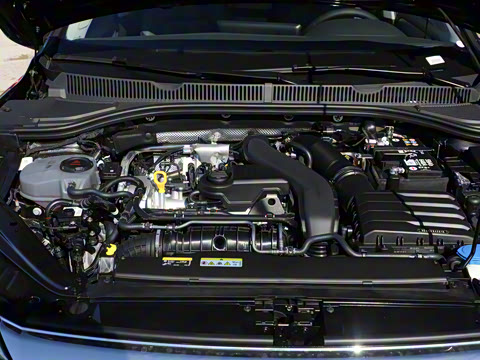 2026�� 3000������ѡ�� 300TSI DSG ��Խ��