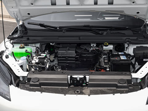 2026�� 501km ���а�