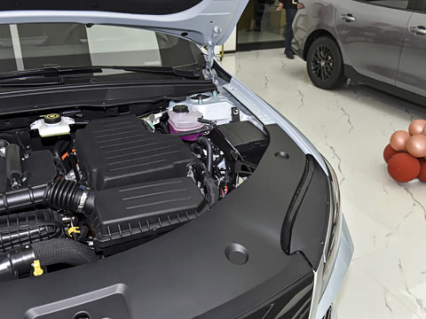 2026�� DM-i 210KM��ȡ��