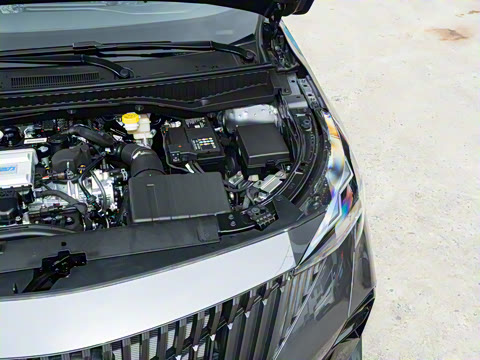 2026�� Ӱ�� 270T ������