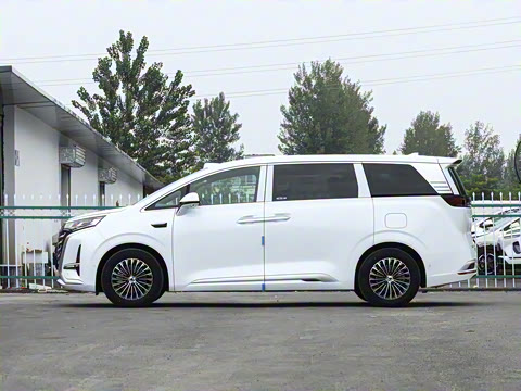 2025�� DM-i ��������