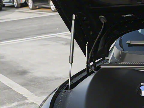 2026�� 650�����������