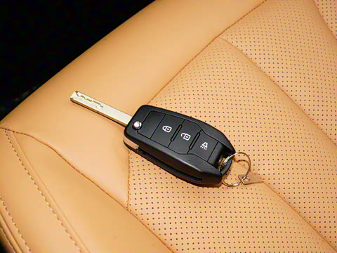 2025�� 2.0L CNG�м�Ӫ�����ʰ� 7��