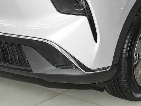 2025�� 565km �����