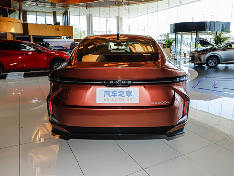 2026�� 300h ������