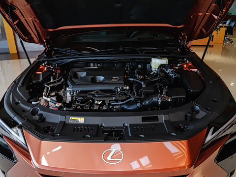 2026�� 300h
