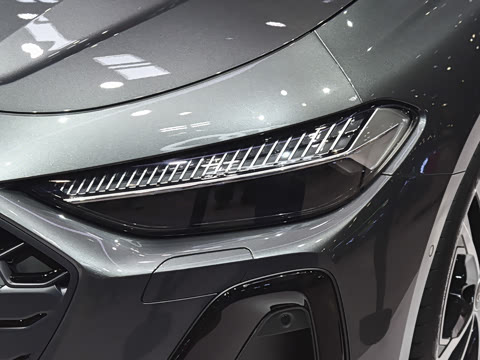 2025�� Avant