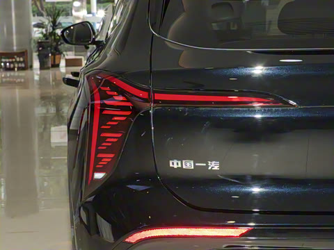 2025�� 520 ��ѡ��