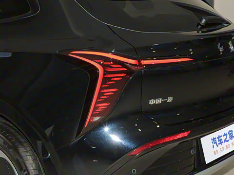 2025�� 520 ��ѡ��