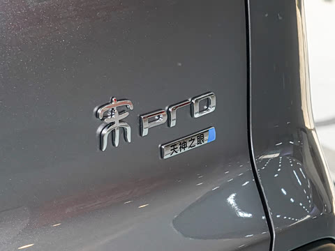 2026�� DM-i 220KM׿Խ��