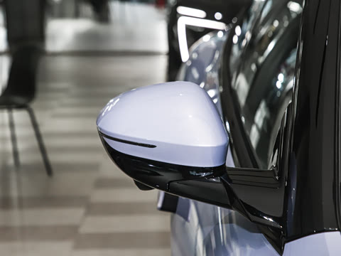 2025�� Elite�����