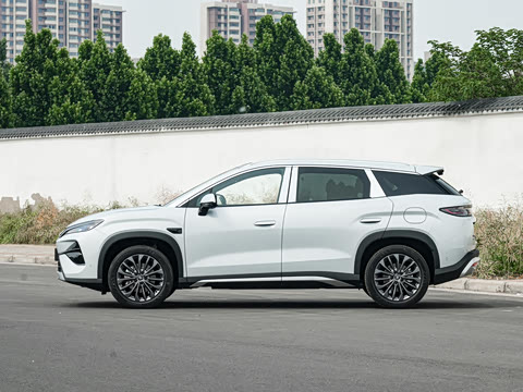 2026�� DM-i 205KM ��Խ��