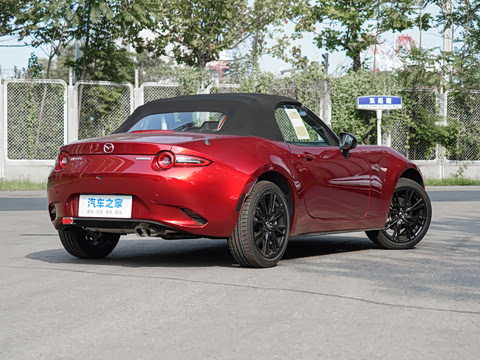 2025�� �ֶ��������� ī�����