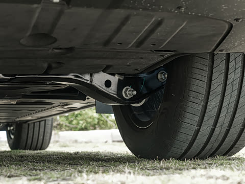 2026�� Max+ ������