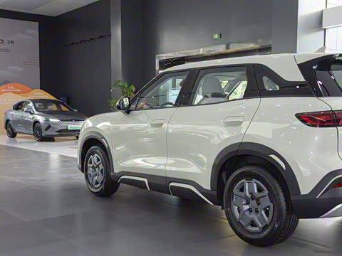 2025�� 301KM �캽��