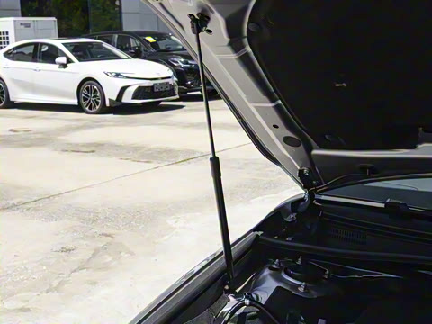 2026�� ˫�� 2.0HS �˶���