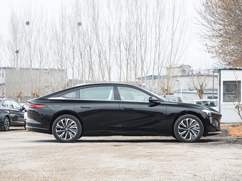 2025�� ������