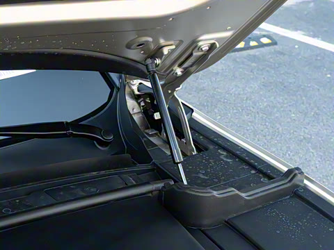 2025�� FREE+ ����Ǭ����