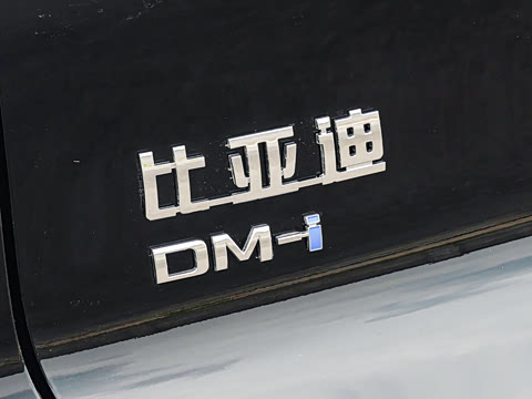 2026�� �ɳ۰� DM-i 220KM��Խ��