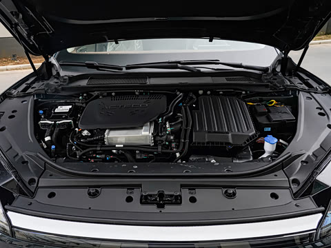 2025�� 260��������������