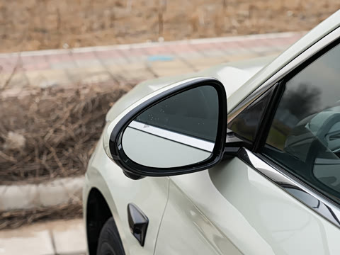 2026�� DM-i 210KM��Խ��