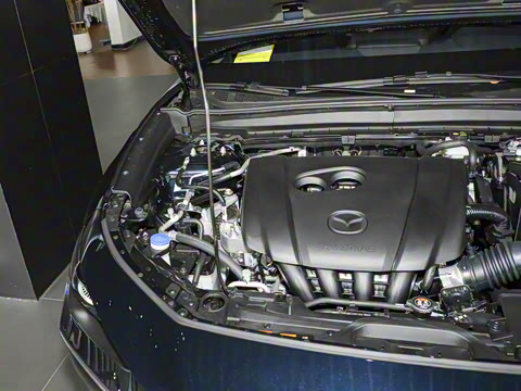 2025�� 2.0L �ֶ�������