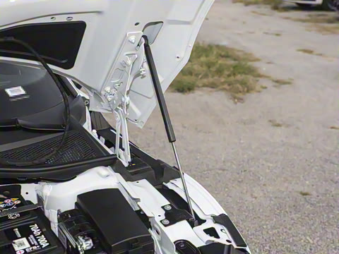 2025�� �Ŀ� 330TSI ��Ŀ ������