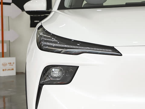 2025�� 565km �����