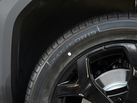 2026�� 565KM ���������