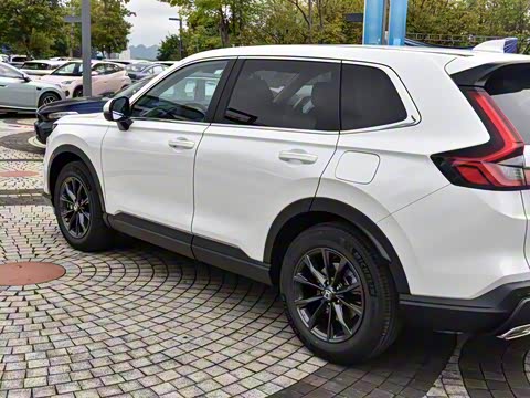 2026�� ȫ��30����ҫ�� 240TURBO ���������