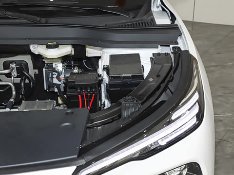 2025�� 565km �����