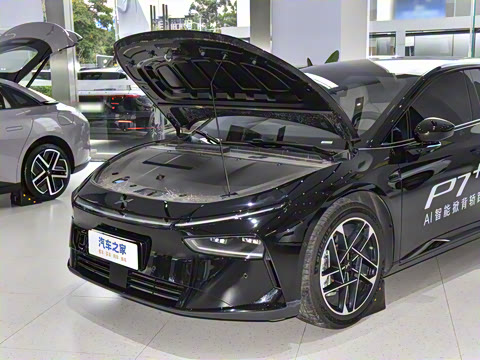 2025�� �������� Max �콢��