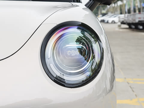 2026�� 403km ������