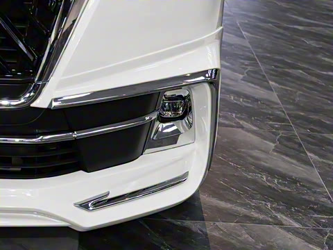 2025�� 9����ʨ ������