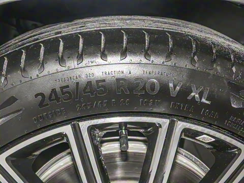 2025�� 260����������