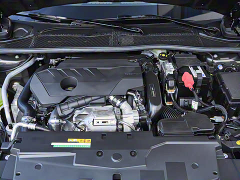 2025�� 1.6T �����