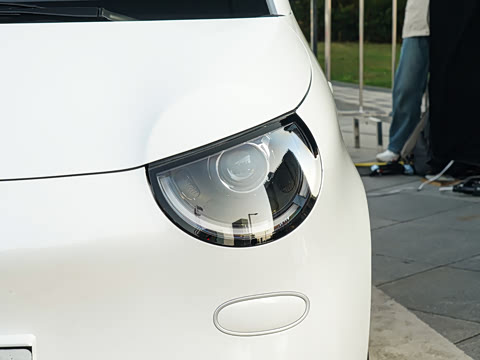 2026�� �����