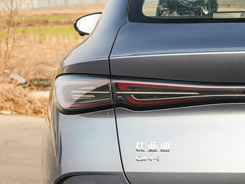 2026�� DM-i ������ 210KM������