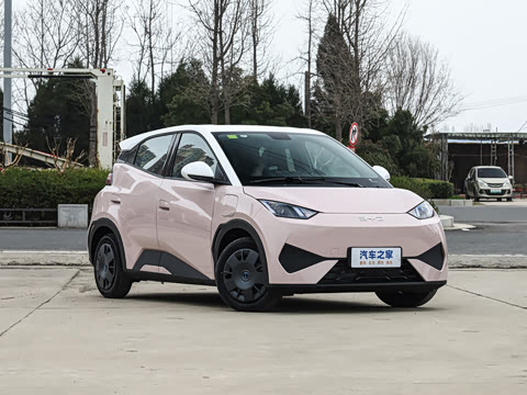 2025�� �Ǽݰ� 305km ������