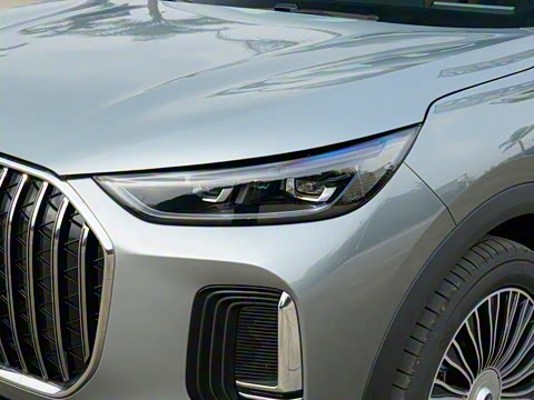 2026�� 9X 2.0T �Զ������캽��