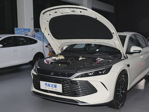 2026�� DM-i 210KM��Խ��