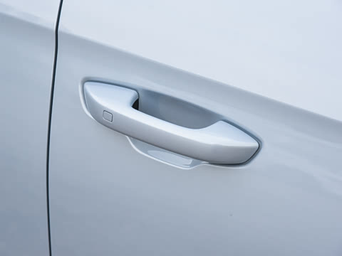 2026�� DM-i 220KM��Խ��