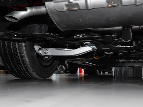 2026�� ���� ����Max��