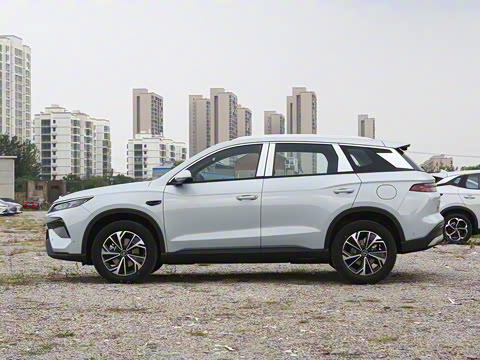 2026�� DM-i 133KM��Խ��